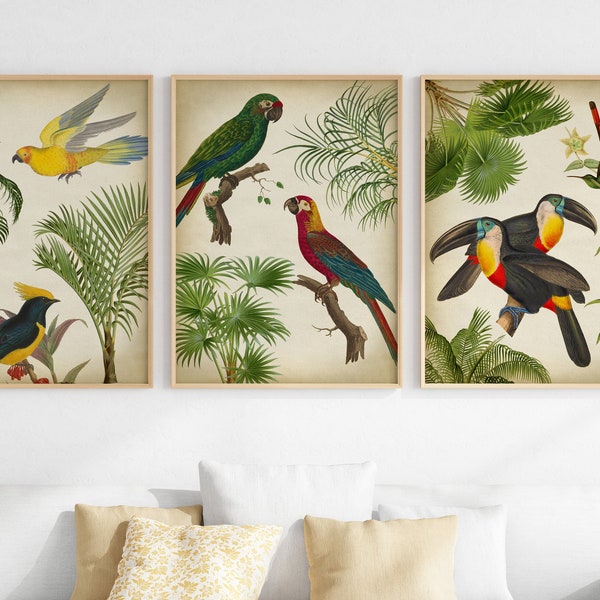 Tropische Vögel und Palmen Druck 3er SET, Exotische Vögel, Tropische Fauna Flora, Papageien Druck, Tukan Druck, Palmen Wandkunst