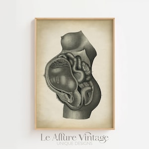 Pregnancy Anatomy Print, Fetus Vintage Anatomy Poster, Pregnant Medical Wall Art, Mom Anatomy Poster, Scientific Anatomy Print, image 1