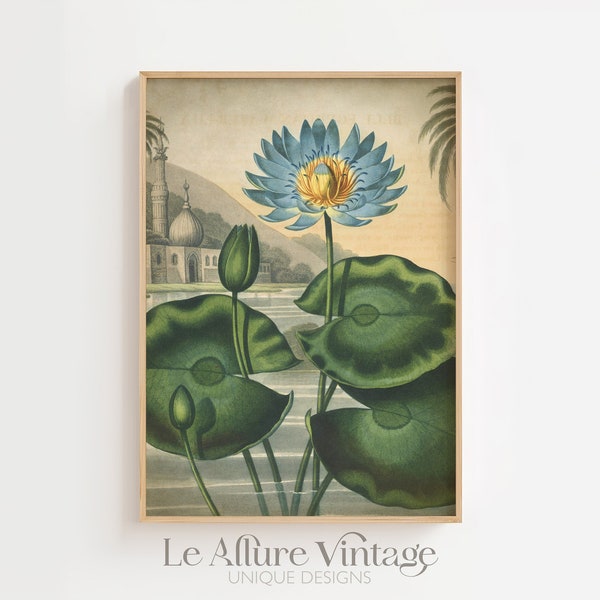 Botanical print, blue Egyptian water lily poster, botanical blue flower print, exotic flowers, botany decor, exotic landscape