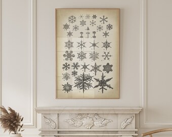 Snowflake Print: Geometric Ice Crystal Winter Wall Art
