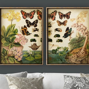 INSECT PRINT SET van 2, Insect Poster, Butterfly Set, Fly Print, Darwinisme Evolution Print, Bloemen en Vlinders, Wetenschappelijk