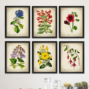 Wildflowers BOTANICAL print SET of 6 Art Prints, Colorful Flowers Print Set, Botanical Poster, Flower Prints, Springtime Flowers