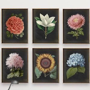 BOTANICAL print Set of 6 art prints, Botanical Set, botanical poster, instant collection, flower poster, flowers print set