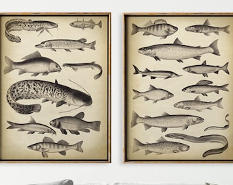 FISH Print 2er Set Fischkarten, Fisch Poster, Fisch Illustration, Vintage Marine Dekor, Strand, Meerestiere Kunst, Sea Life, Fischer