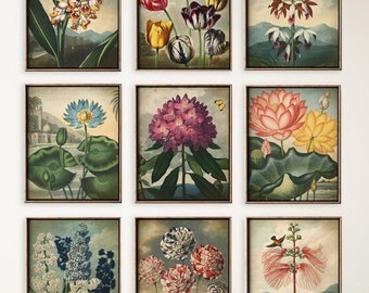 Estampado BOTÁNICO Conjunto de 9, arte de pared de galería de flores de estilo vintage, cartel floral, estampados de arte floral, paisaje de flores, decoración rústica de la naturaleza