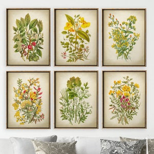 Flowers BOTANICAL print Set of 6 Art Prints, Yellow and Pink Flower Print Set, Botanical Poster, Botanical Art, Wall Art Fast Track Shipping