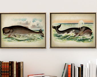 Whale Print Set: Nautical Marine Life Art, Coastal Decor