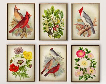 Birds & Flowers Art Prints: Botanical Vintage Set of 6