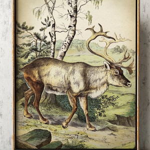 Moose Print, Elk Poster, Animal Poster, Deer Painting, Vintage Deer Illustration, winter Wall Decor, Fast Track Shipping