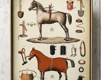 Decoracion Ecuestre Etsy