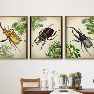 TROPICAL Jungle, Beetles and Palms Print SET of 3, Tropical Fauna and Flora, Palm Tree Wall Art Fast Track Shipping