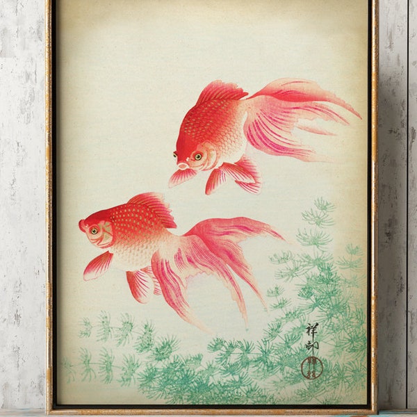 Koi Fish Print Etsy