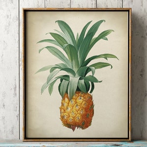 Pineapple botanical print, Pineapple poster, tropical fruit, Pineapple print, Pineapple art decor, botanical art, Fast Track Shipping image 1