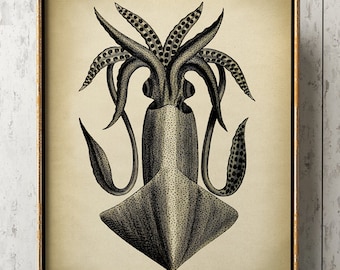 Squid Cuttlefish Print: Vintage Marine Life Nautical Art