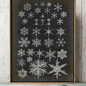 SNEEUWVLOK Print, Sneeuwvlok Print, sneeuwvlokvormen, geometrische ijskristal, winter, wetenschappelijke illustratie Fast Track Shipping