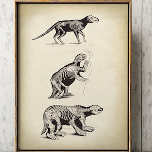 Megatherium Art Print, Extinct Animal Skeleton, Antique Style Poster, Prehistoric Animals, Natural Sciences Illustration Wall Art