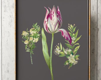 Elegant Tulip Botanical Print: Floral Wall Art