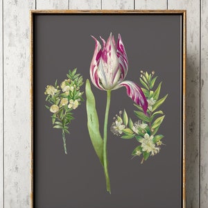 Elegante Tulp Botanische Poster, Bloemenprint, Botanische Print, Bloemenposter, Tulpenprint, Tulpenkunst, grijze achtergrond