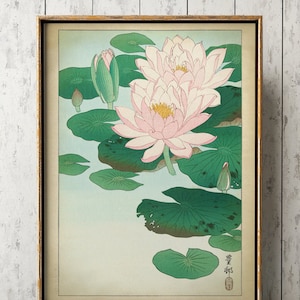 Japanese Lily Art Print, Botanical Japanese Poster, Flower Print, Ohara Koson Water Lillies Drawing, Vintage Style Japan Art, Illustration