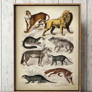 WILD ANIMALS Poster, Forest Animal Print, Animal Picture, Lion Print, Tiger Print, Wolf Print, Fox Print, Animal Illustration