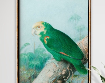 Grüner Papagei Tropischer Wald Kunstdruck (Giclée)
