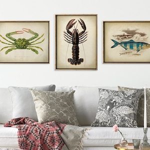 Sea life Print SET 3 Poster, Crab Poster, Lobster Print, Stripped Fish, Coastal Art, Marine Prints, Nautical, Bathroom Beach Art,