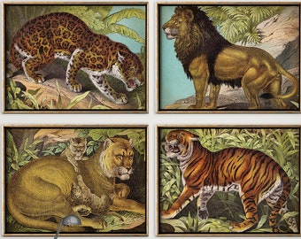 Big CAT set of 4 PRINTS, Wild Jungle Animals Poster, Lion, Leopard, Lioness and Cubs, Tiger, Safari Art Fast Track Shipping