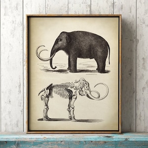 Mammoth skeleton print, fossil print decor, prehistoric elephant, old world animal poster, animal anatomy skeleton
