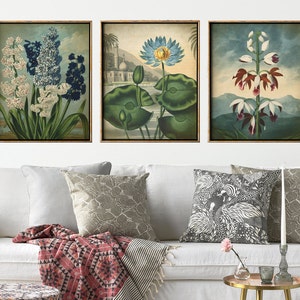 Botanische printset van 3, bloemenprintset, botanische poster, botanische wanddecoratie, bloemen in blauwe tinten Fast Track Shipping
