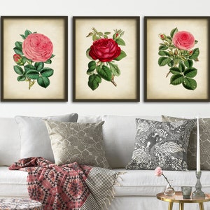 Botanical print set of 3, flower print set, roses, red rose print, pink rose print, botanical poster, botanical wall decor image 1