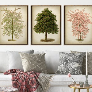 Botanische printset van 3, mooie bloemrijke boomprintset, bloeiende bomen illustratie, botanische poster, botanisch wanddecor