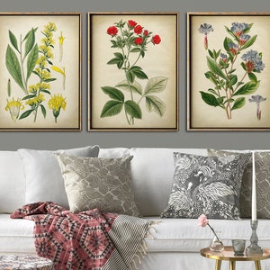Botanische printset van 3, bloemenprintset met kleurende bloemen, botanische poster, botanische wanddecoratie, Potentilla, alpenbloem