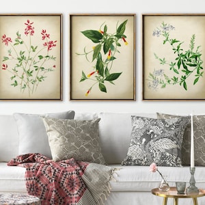 BOTANISCHE PRINT SET van 3, delicate bloemenprintset, vintage stijl botanische posterset, botanische muurkunst, bloemenposter