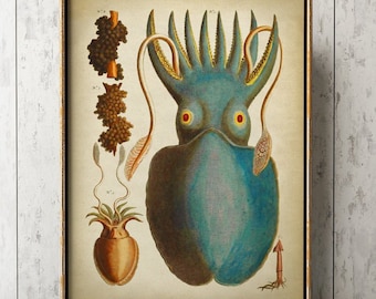 Squid Cuttlefish Print: Vintage Marine Life Nautical Art