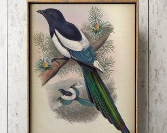 Stampa Giclée di uccelli esotici: arte murale tropicale blu e verde