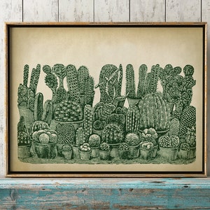 Cactus poster, botanical print, Cactus study poster, Cactus art, botanical art, botanical poster, Fast Track Shipping