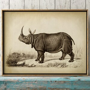 RHINO Print, RHINOCEROS Poster, rhino Illustration, Home Decor, Wall Art, Natural history Art, Animals, Zoology, Safari Fast Track Shipping