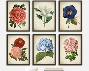 Botanical Flowers Art Print Set: Vintage Style Floral Wall Decor