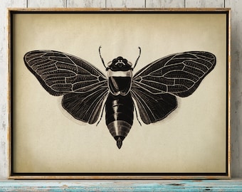 Insects print, Insect poster, moth print, moth poster, butterfly, fly poster, insect wall art, aged sepia black and white