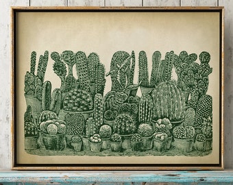 Cactus poster, botanical print, Cactus study poster, Cactus art, botanical art, botanical poster, Fast Track Shipping