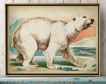 POLAR BEAR Print, White Bear Poster, Bear Illustration, Arctic Ice Animal, Home Decor, Wall Art, Bear Art, Bear Picture Fast Track Shipping