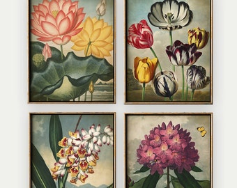 Vintage Botanical Flower Prints Set of 4: Antique Floral Art