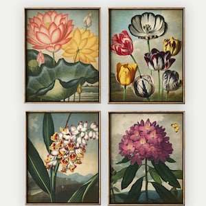 Ensemble d'impressions botaniques de 4 impressions florales, ensemble botanique, illustration de fleurs, peinture de fleurs, art botanique vintage, fleur antique