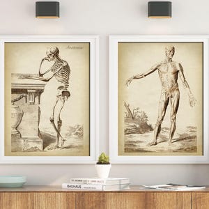ANATOMIA Stampa SET di 2, Poster anatomico, Illustrazione di anatomia classica, Scheletro umano, Stampa medica, Grafico anatomico, Antico