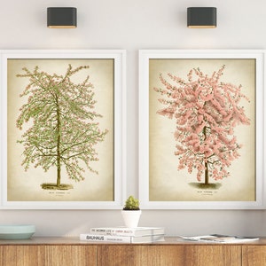 Flowering TREES Botanical Print Set of 2, TREE Poster, tree Prints, bloom trees Print, Antique Botanical, Botanical Wall Decor,