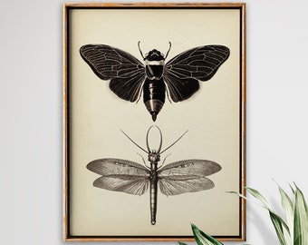 Motten print, nachtelijke vlinders poster, insecten print, wetenschappelijke mottenkaart, vintage vlinder, entomologie