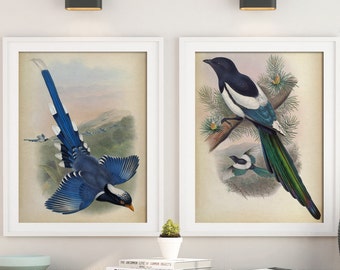 Tropische Vogel Illustration Set: Blaue Paradiesvogel Illustration, Wohndeko