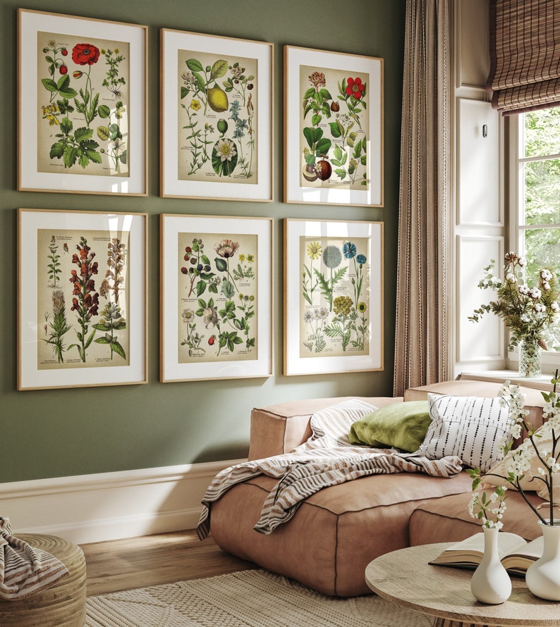 Matching set of six botanical posters hanging in a wall in an interior room. This posters show colouring flowers and plants,  some of they medicinal, there is the scientific name of the plant at the side. The prints have vintage encyclopaedia style.