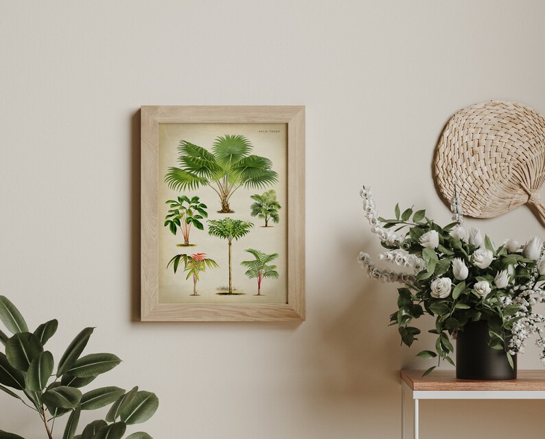 Puede incluir: Una ilustraci&oacute;n bot&aacute;nica enmarcada de varias palmeras, incluyendo una palmera alta con una amplia copa, una palmera m&aacute;s peque&ntilde;a con un solo tronco y una palmera con m&uacute;ltiples troncos. La ilustraci&oacute;n est&aacute; sobre un fondo de color crema con el texto "Palm Trees" en la parte superior.