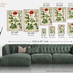 BOTANICAL print set of 6 art prints, medicinal plants, botanical poster, flower poster, flowers print set, red poppy Fast Track Shipping image 8